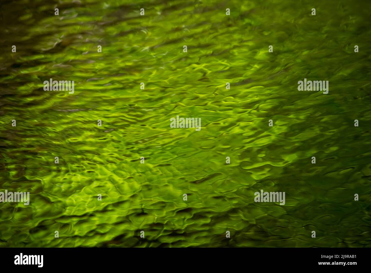 Astratto smeraldo verde increspatura acqua in Woodland Stream con Copy Space Foto Stock