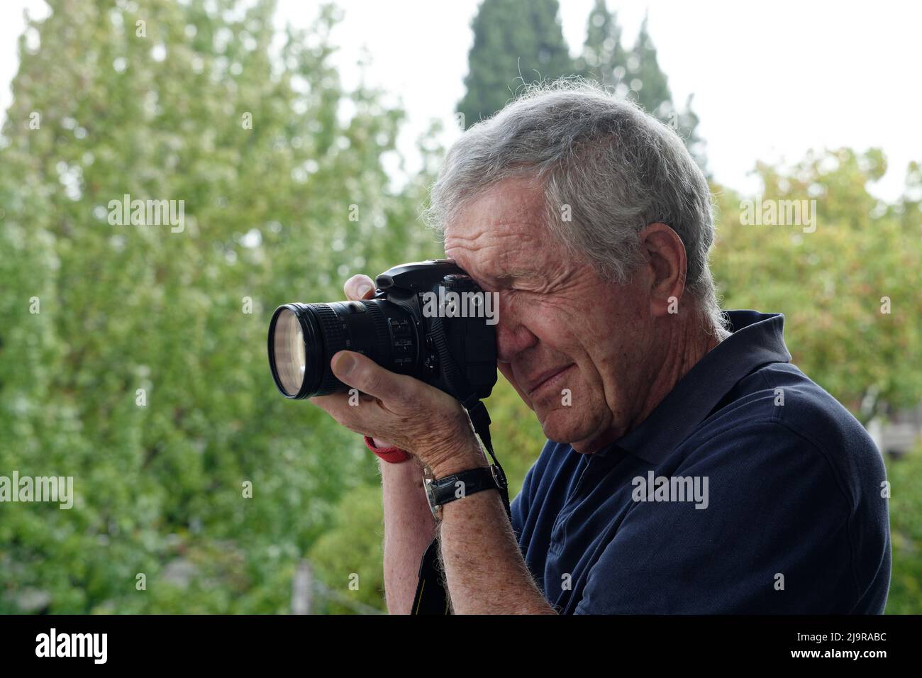 Fotografo maschile anziano che utilizza una fotocamera Reflex a obiettivo singolo tenuta all'occhio destro. Vista lato sinistro. Camicia blu scuro e sfondo verde sfocato dell'albero. Foto Stock