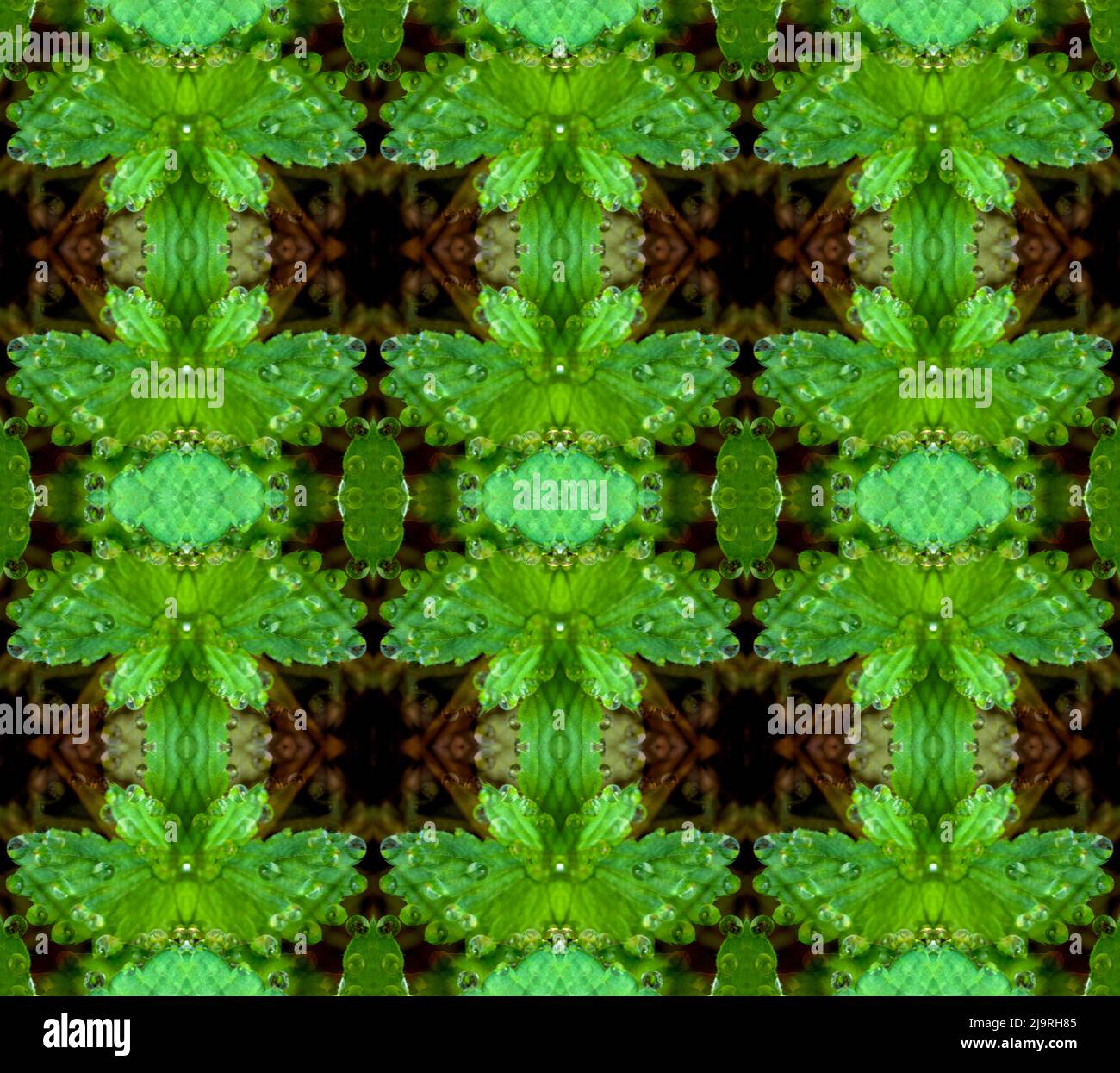 Astratto verde e marrone. Foto Stock