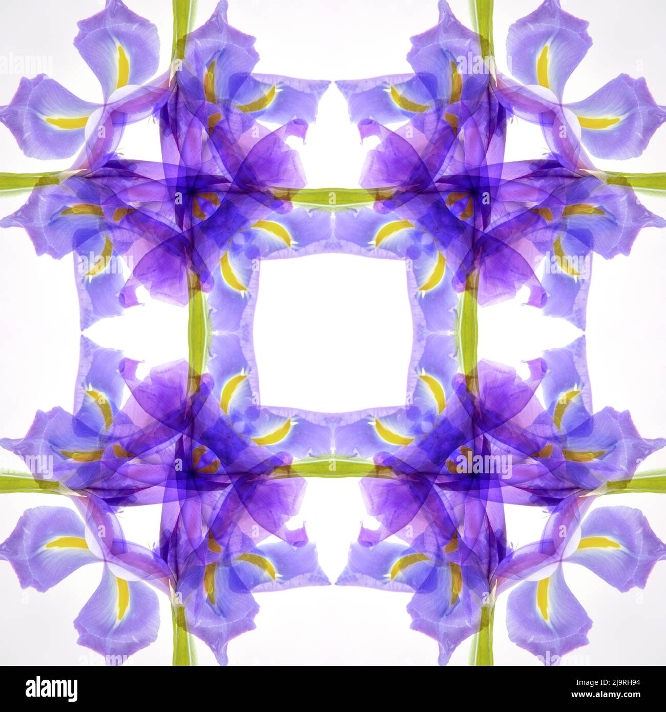 Viola iride astratto. Foto Stock