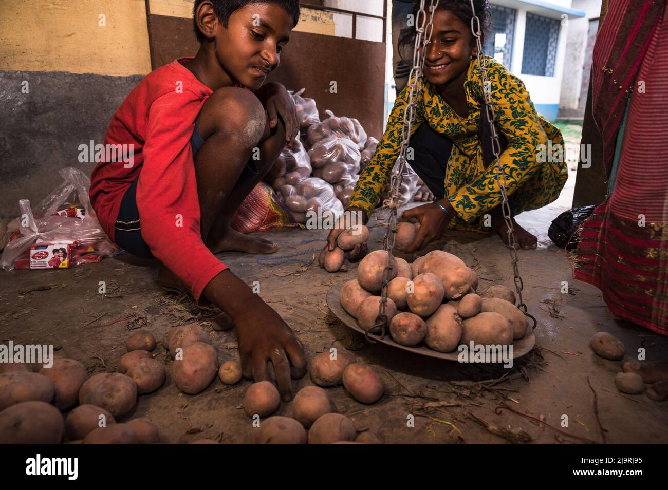 24 maggio 2022, Tehatta, Bengala Occidentale, India: Il governo del Bengala Occidentale ha diretto le scuole di governo di stato a distribuire le forniture di pasto di metà giorno ai genitori degli allievi durante le vacanze di estate in modo che i bambini bisognosi non siano privati del programma. L'avviso ha detto che ogni studente avrebbe ottenuto 2 kg di riso, 2 kg di patate, 250 grammi di zucchero, 250 grammi di legumi, e una saponetta. Così gli studenti sono venuti in una scuola elementare per ottenere i loro prodotti alimentari durante le vacanze estive e alcuni di loro stanno anche aiutando a dare gli articoli alimentari a Nabin Nagar, West Bengala. (Credit Image: © Soumrabyata Roy/Pacific Foto Stock