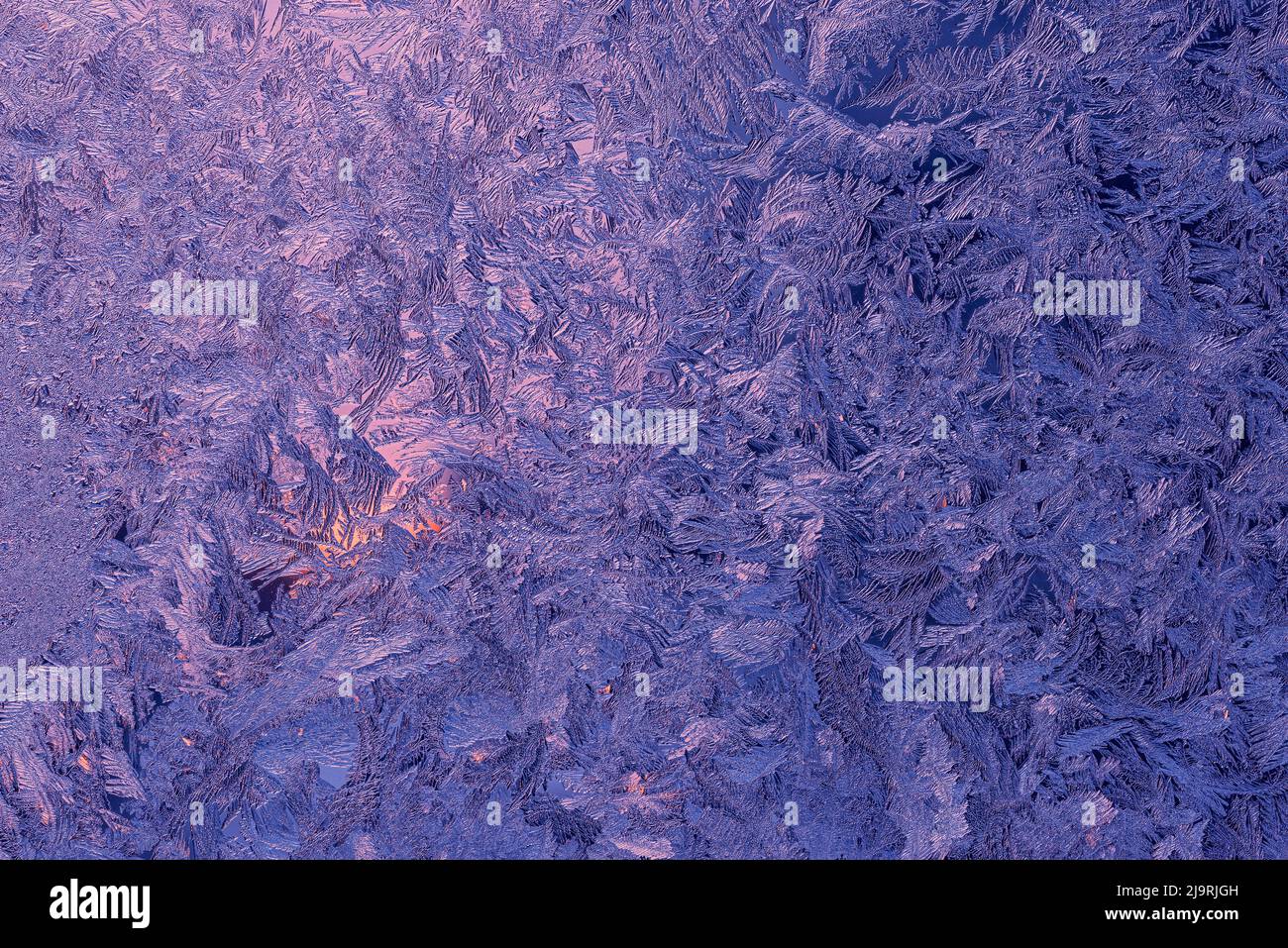 Canada, Manitoba, Winnipeg. Schemi di congelamento dei cristalli. Foto Stock