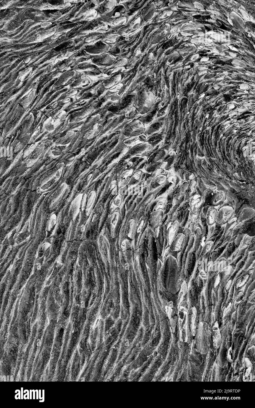 Recente flusso di lava di pahoehoe, Baia di Sullivan, Isola di Santiago, Isole Galapagos, Ecuador. Foto Stock