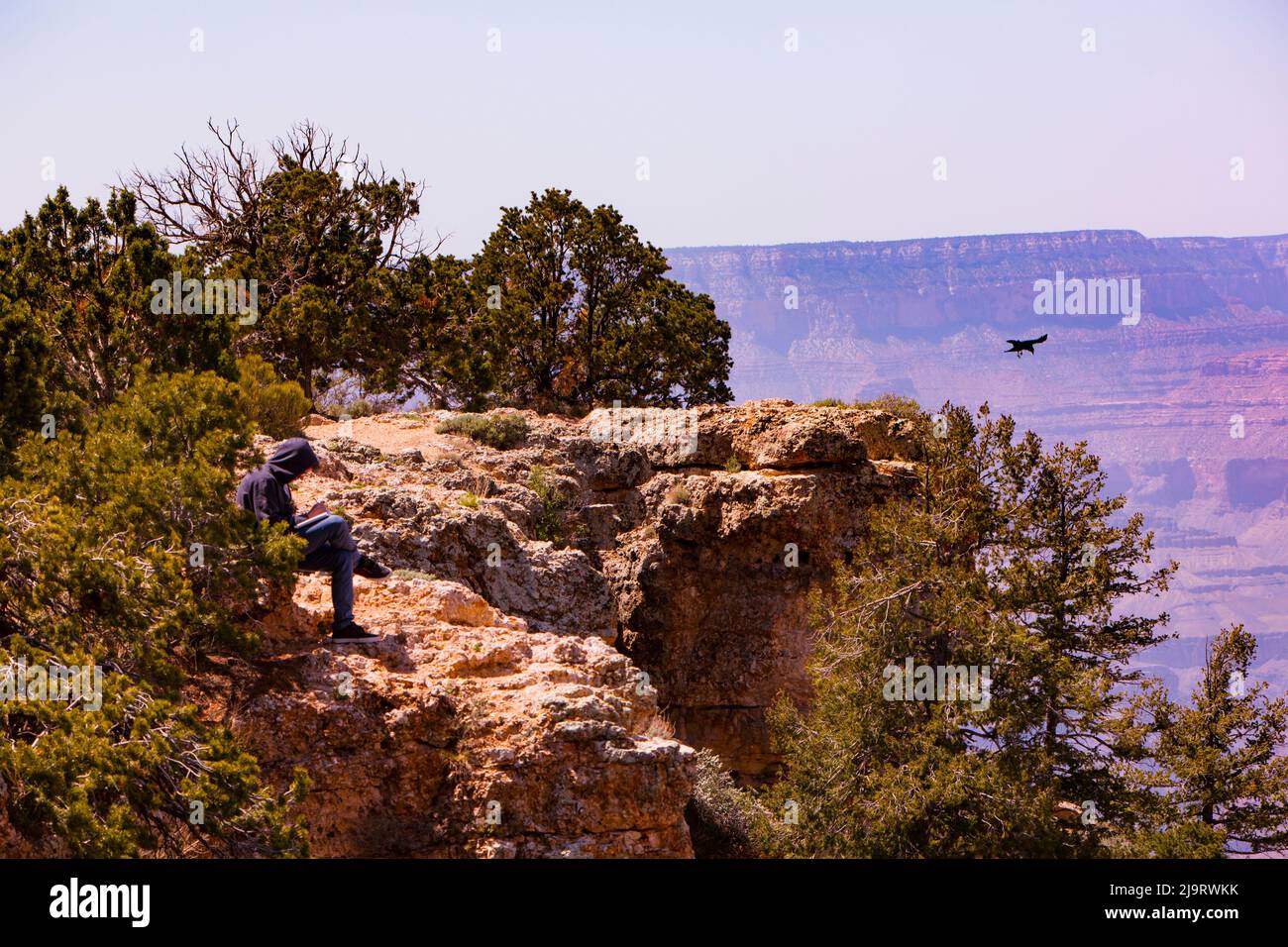 Grand Canyon, Arizona, Stati Uniti. Uomo rilassante in canyon. Foto Stock