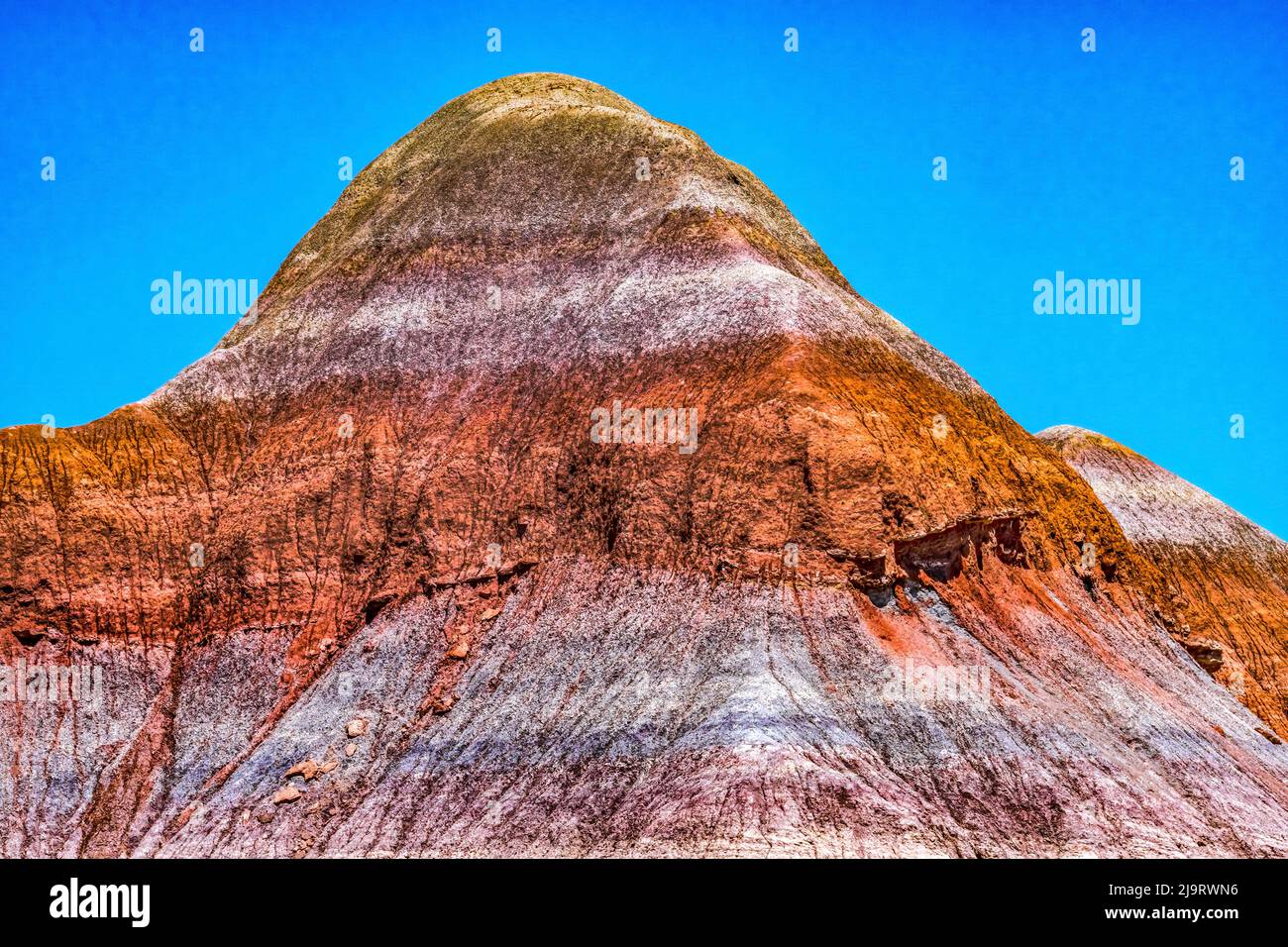 Parco nazionale della Foresta pietrificata, Arizona. Depositato oltre 200 milioni di anni fa. Foto Stock