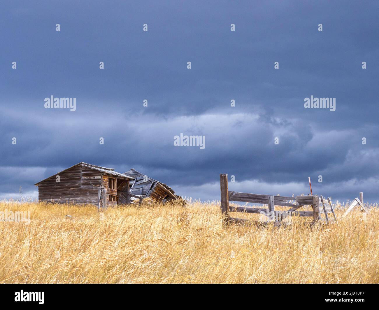 USA, Idaho. Vecchia casa in un campo con cielo oscuro e tempestoso. Foto Stock