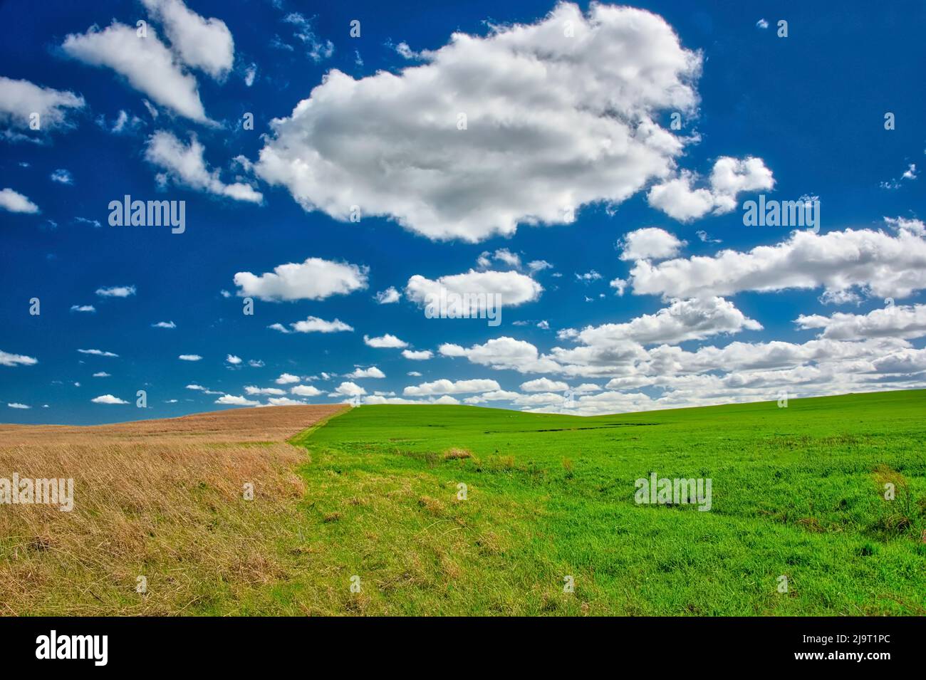 Collina a due tonalità nelle Flint Hills del Kansas Foto Stock