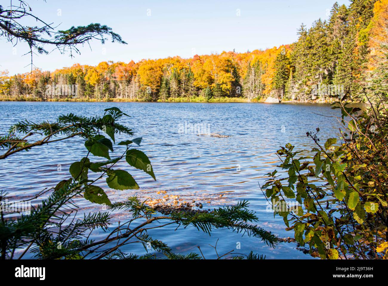 USA, New Hampshire, Fall Foliage Bretton Woods, Saco Lake Foto Stock