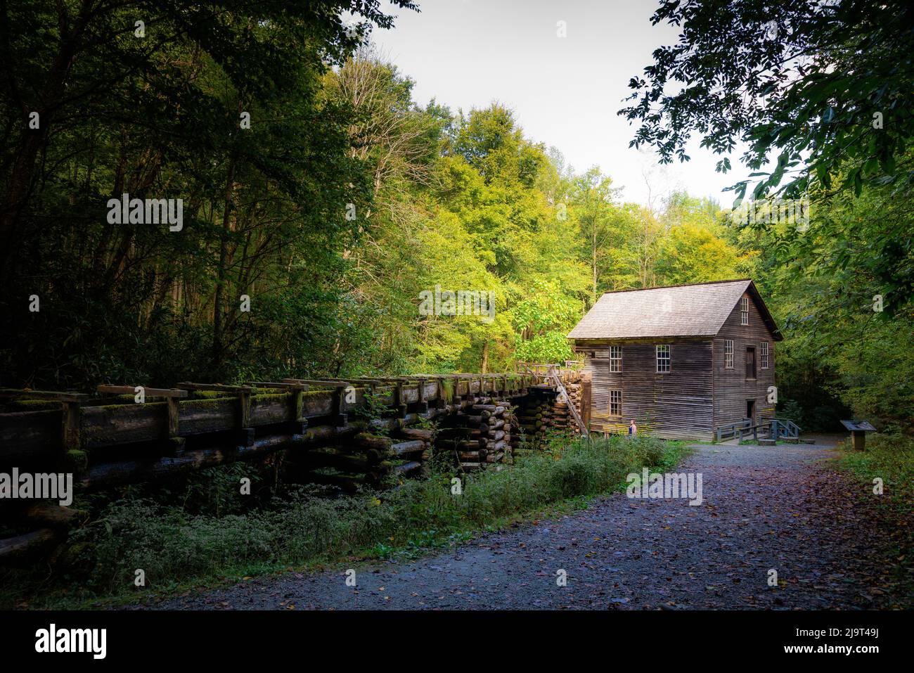 Mingus Mill in Great Smoky Mountains, Cherokee, Carolina del Nord Foto Stock