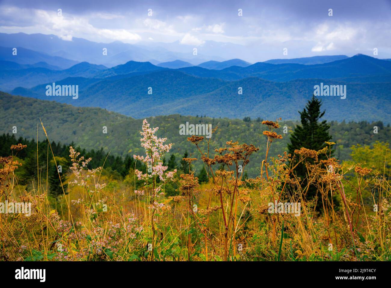 Mountain vista, Blue Ridge Parkway, Smoky Mountains, Stati Uniti. Foto Stock