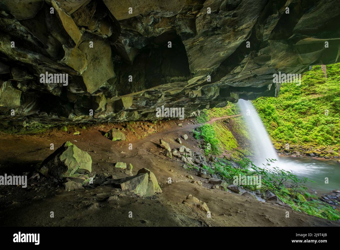 Cascate di Ponytail, Columbia River Gorge, Oregon Foto Stock