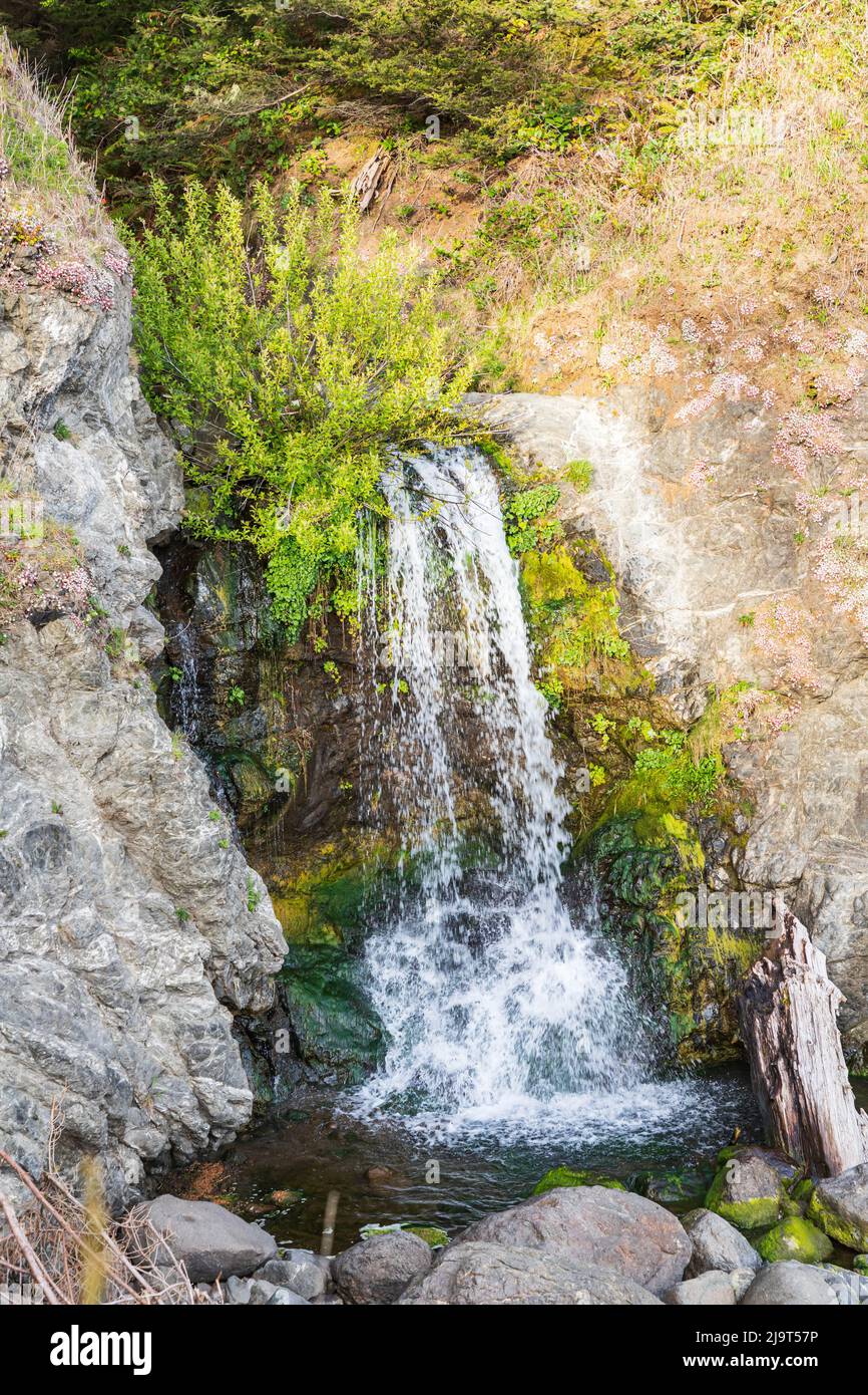 Secret Beach, Oregon, Stati Uniti. Piccolo torrente che scorre su Secret Beach. Foto Stock