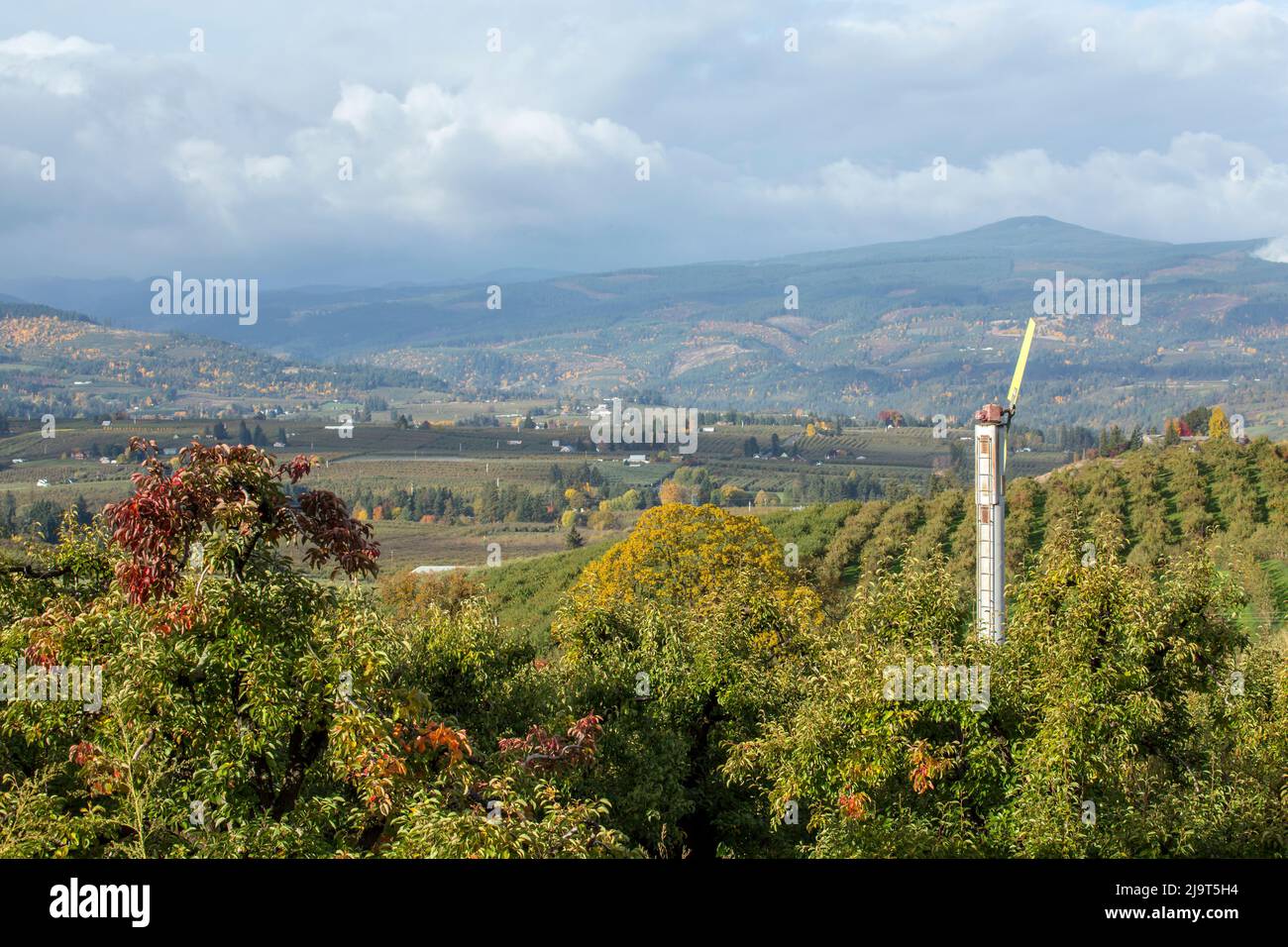 Hood River, Oregon, Stati Uniti. Vento macchina o ventilatore frutteto in un frutteto di mele. Le macchine di vento proteggono i raccolti aumentando le temperature. Foto Stock