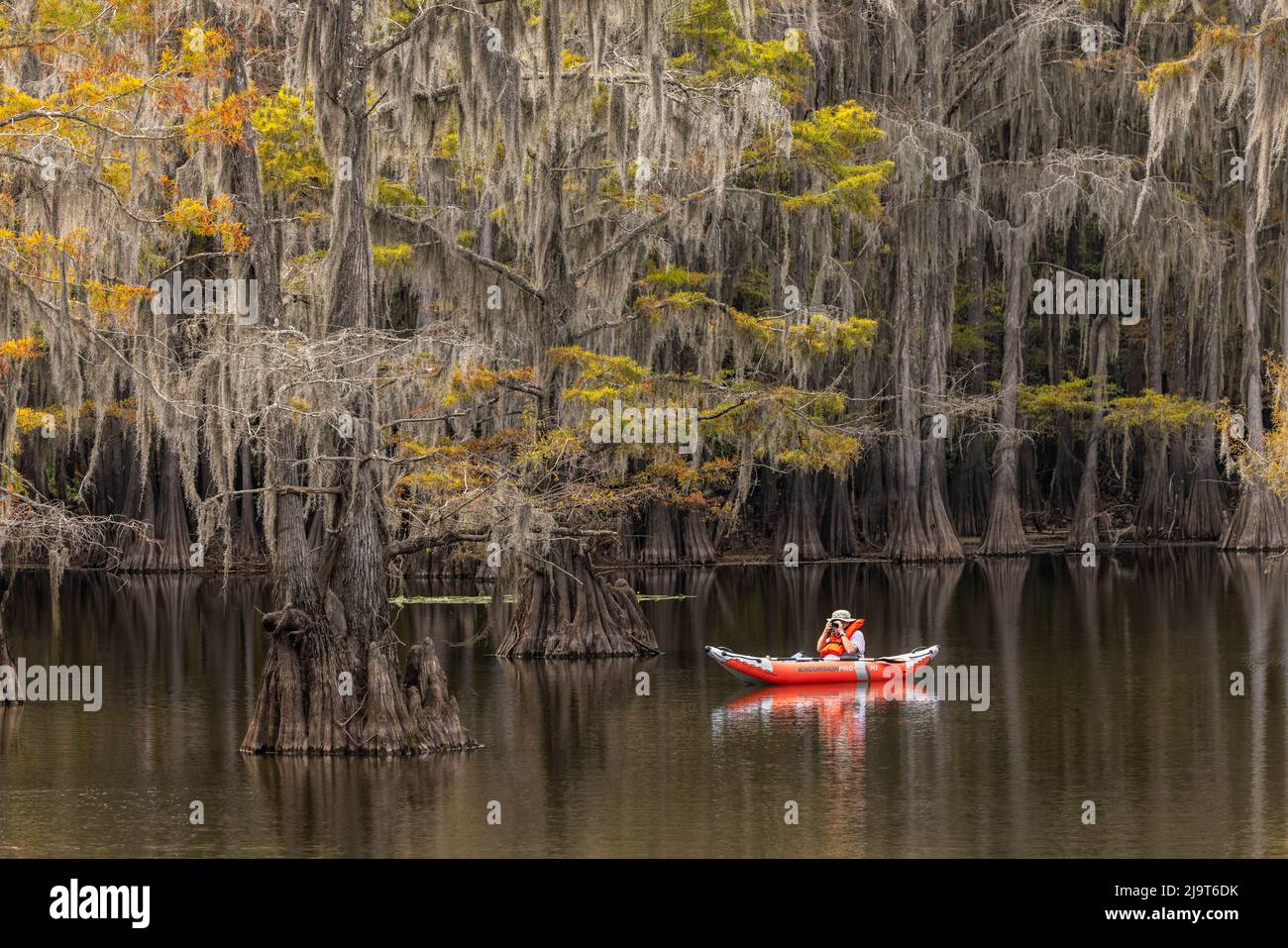 Albero di cipresso calvo drappeggiato in muschio spagnolo con colori autunnali e kayak tra gli alberi. Caddo Lake state Park, incerto, Texas Foto Stock
