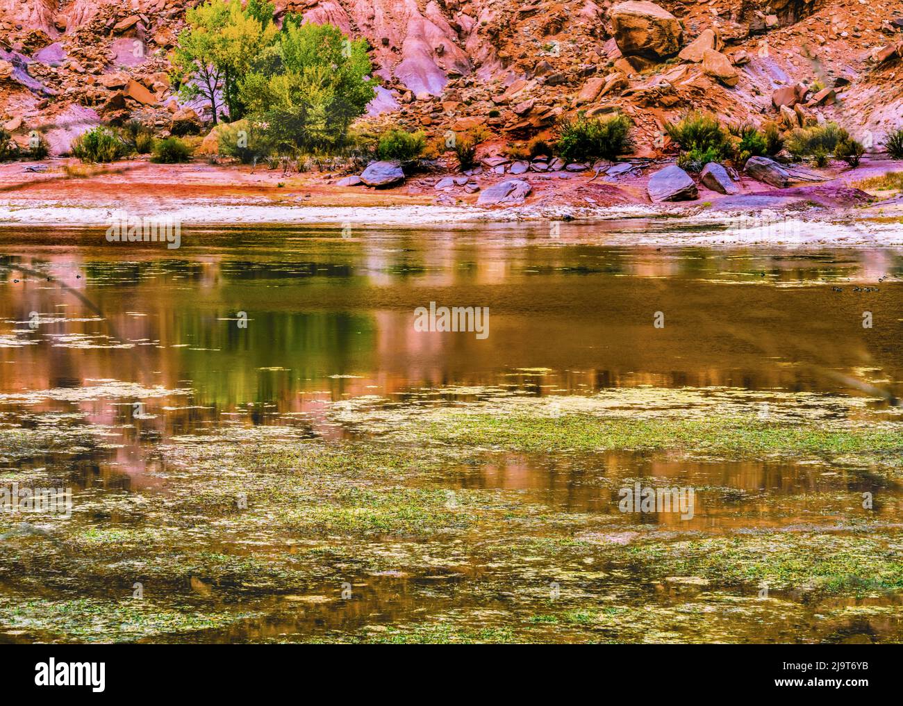 Indian Creek, Canyonlands National Park, Needles District, Utah. Foto Stock
