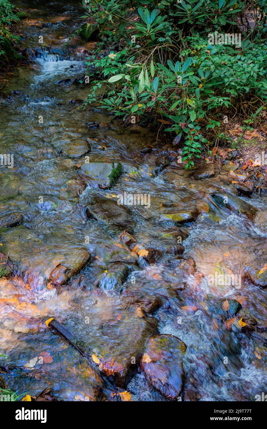 Creek sulla strada per Mingus Mill, Virginia Foto Stock