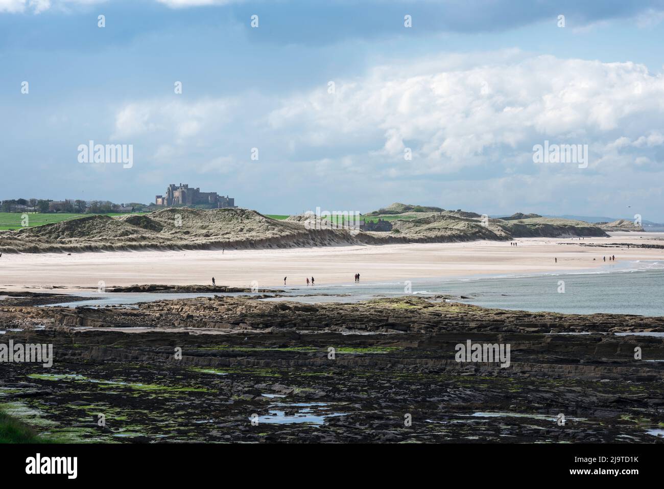 Spiaggia Northumberland, vista in tarda primavera attraverso le rocce tumblers e St Aidan's Dunes verso il Castello di Bambburgh sulla costa Northumberland, Inghilterra Foto Stock