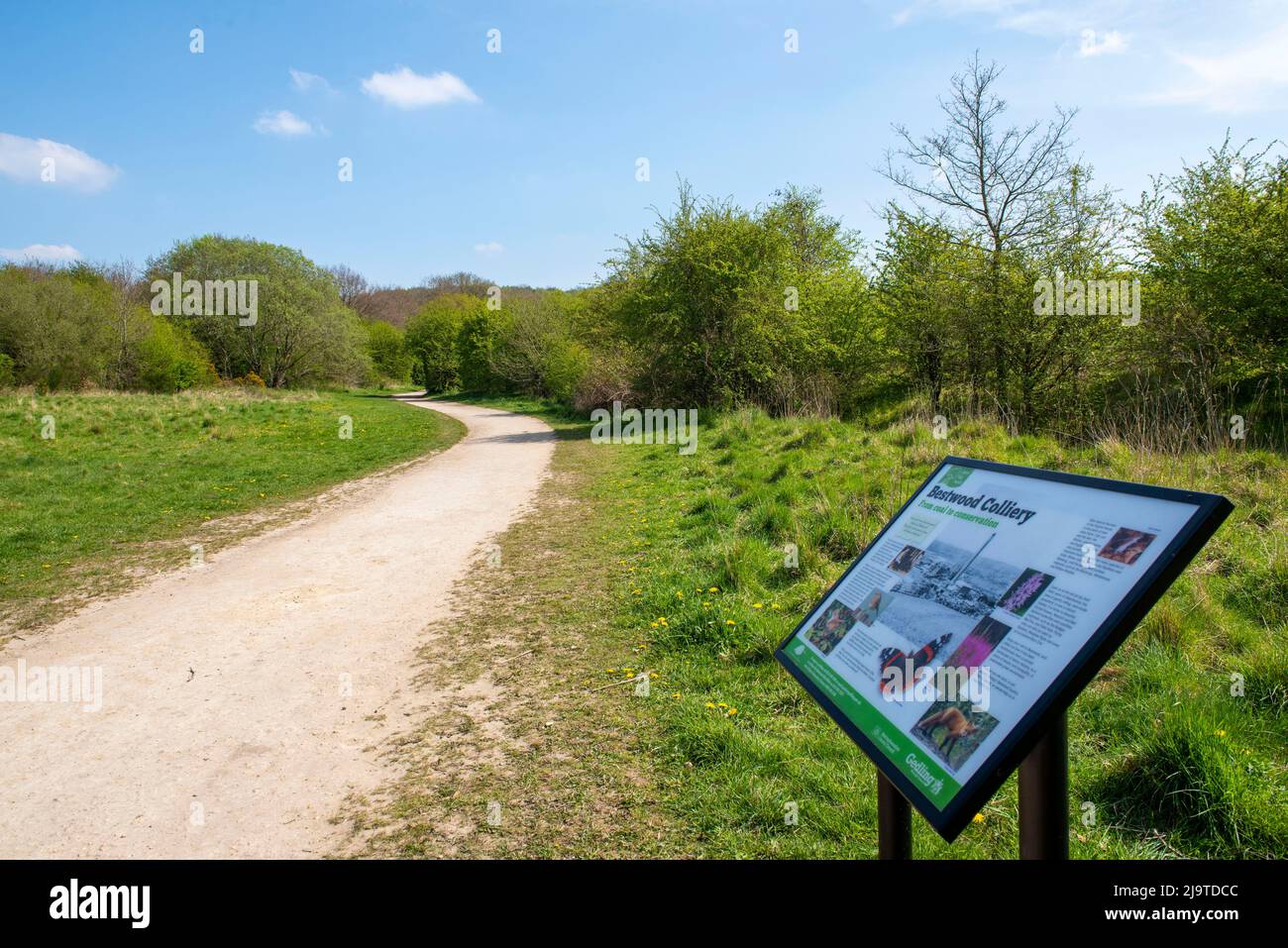 Primavera al Bestwood Country Park a Nottingham, Nottinghamshire Inghilterra Regno Unito Foto Stock