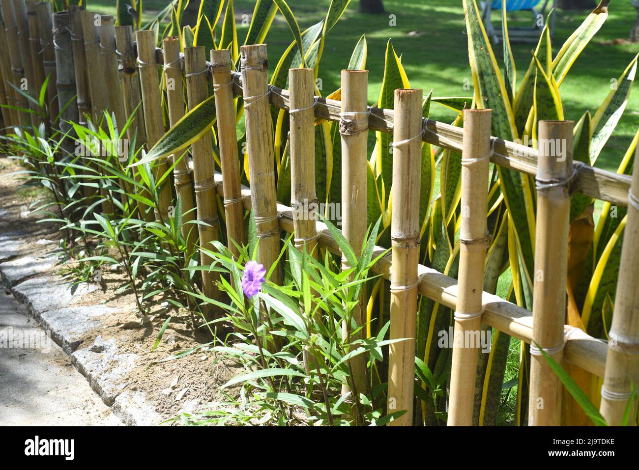 Recinzione creativa giardino fatto di bambù Foto Stock