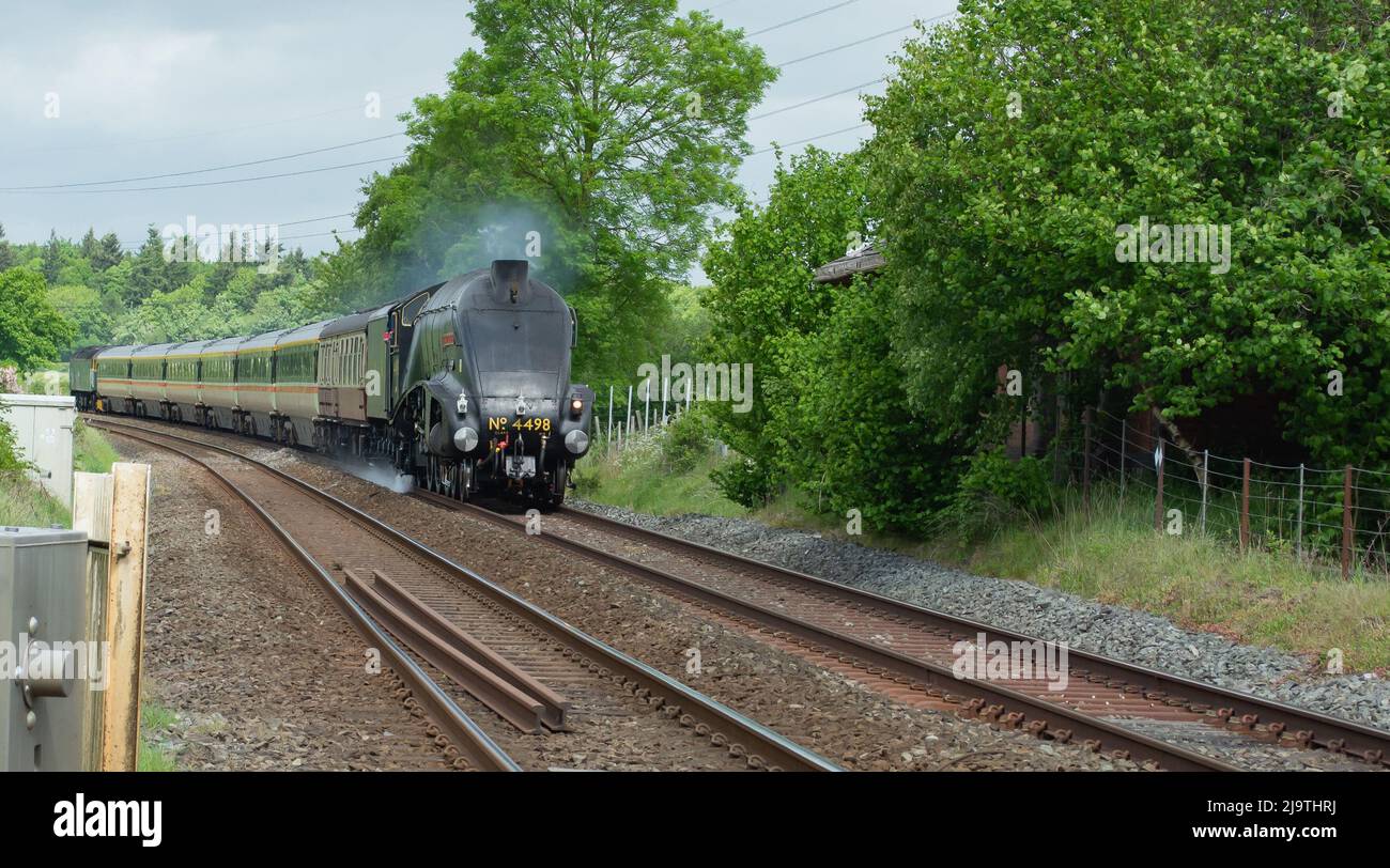 Sir Nigel treno della locomotiva di Gresley che passa vicino a Shrewsbury Shropshire dopo un restauro esteso. Foto Stock