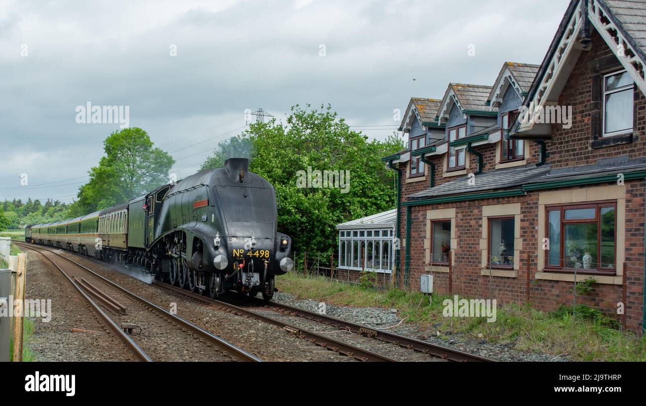 Sir Nigel treno della locomotiva di Gresley che passa vicino a Shrewsbury Shropshire dopo un restauro esteso. Foto Stock