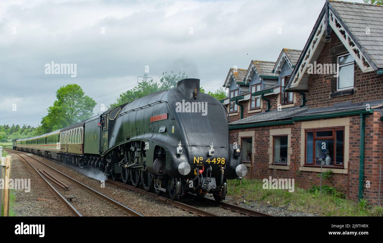 Sir Nigel treno della locomotiva di Gresley che passa vicino a Shrewsbury Shropshire dopo un restauro esteso. Foto Stock