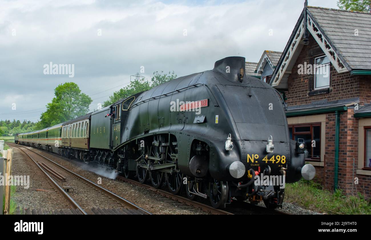 Sir Nigel treno della locomotiva di Gresley che passa vicino a Shrewsbury Shropshire dopo un restauro esteso. Foto Stock