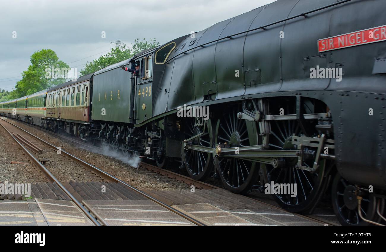 Sir Nigel treno della locomotiva di Gresley che passa vicino a Shrewsbury Shropshire dopo un restauro esteso. Foto Stock