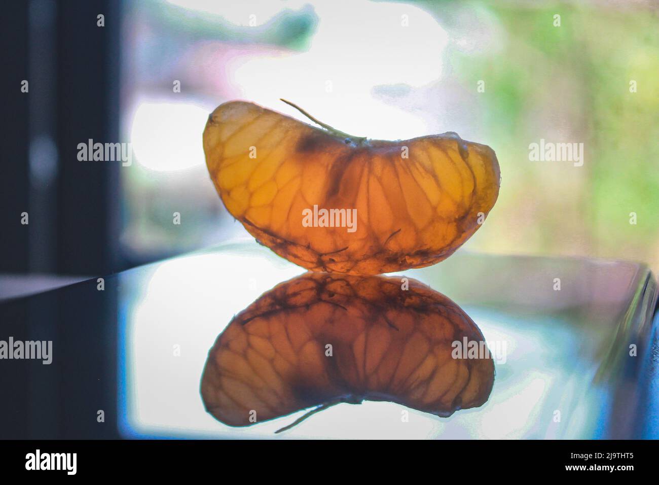 Farfalla arancione Foto Stock