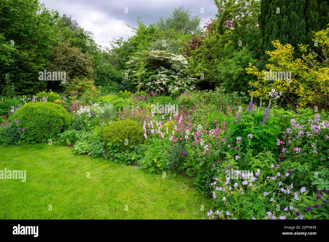 Un giardino di campagna inglese all'inizio dell'estate con abbondanza di arbusti e piante perenni piantate in modo informale. Foto Stock