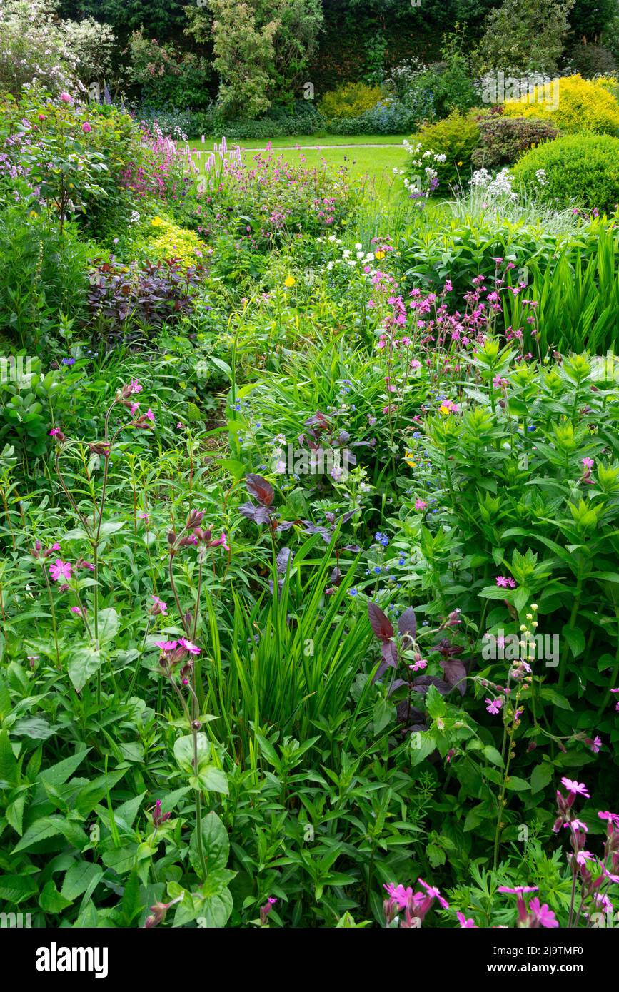 Un giardino di campagna inglese all'inizio dell'estate con abbondanza di arbusti e piante perenni piantate in modo informale. Foto Stock