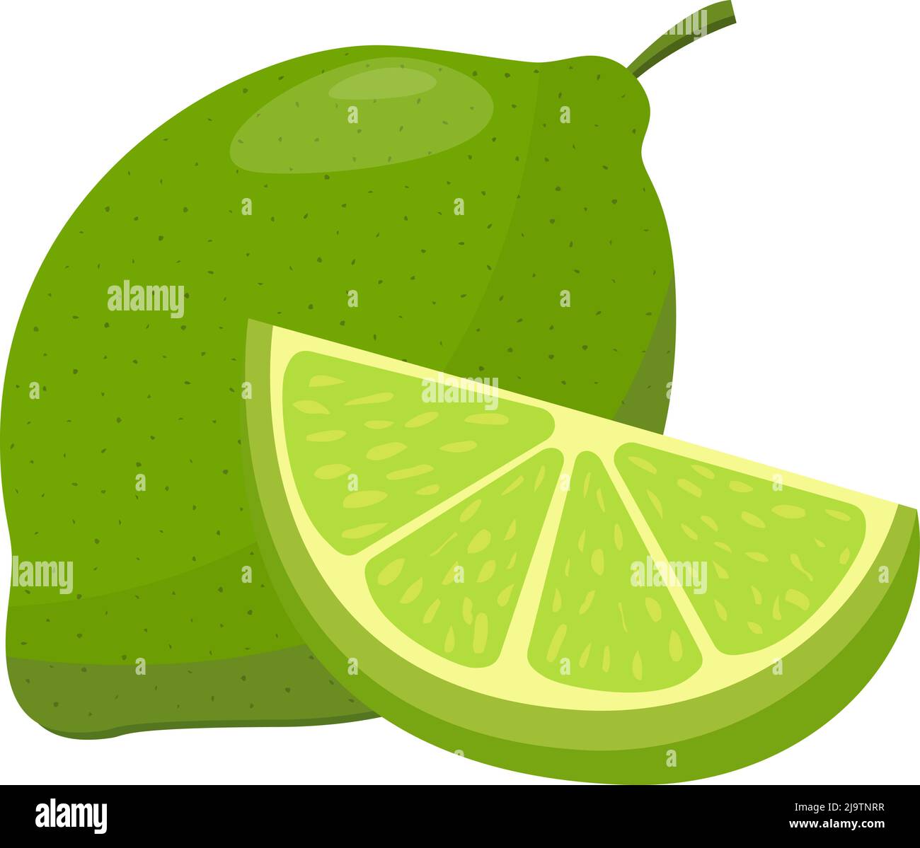 frutta verde lime isolato su sfondo bianco, disegno piatto vettore illustrazione Illustrazione Vettoriale