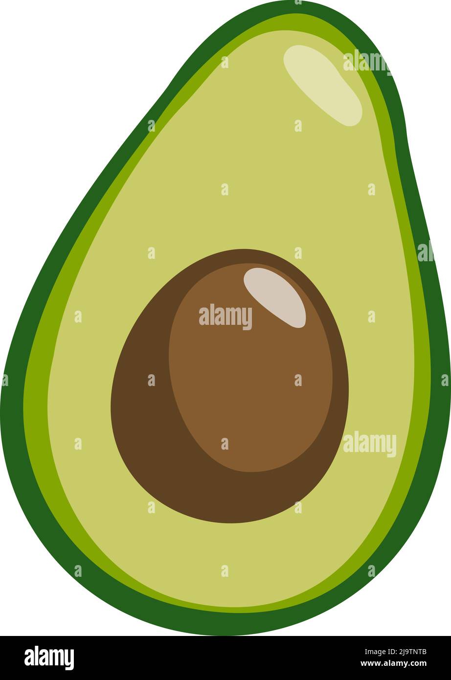 frutta avocado dimezzata isolata su sfondo bianco, disegno piano vettore illustrazione Illustrazione Vettoriale