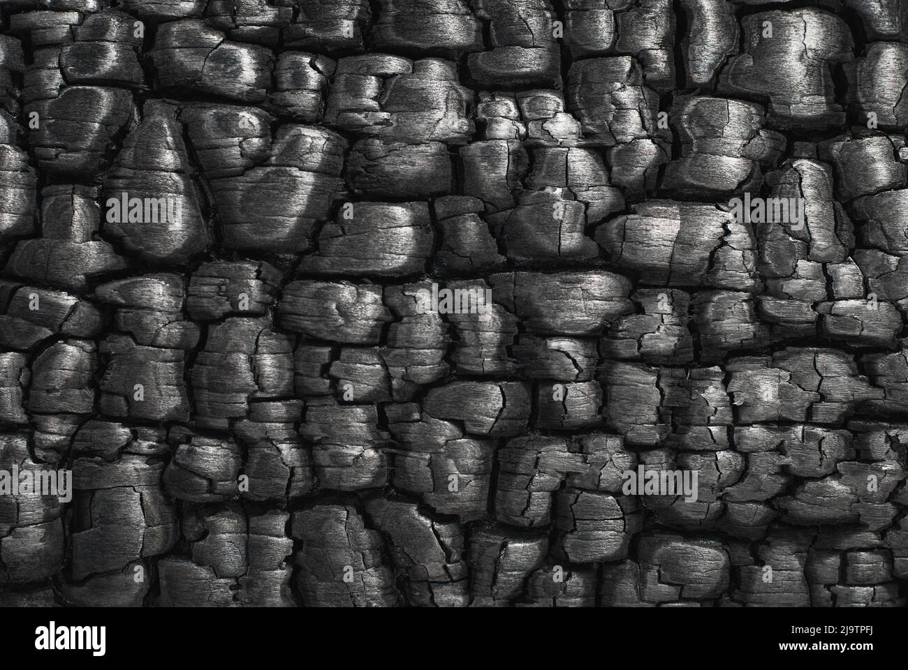 Fondo di struttura di carbone, closeup di superficie di legno bruciato Foto Stock
