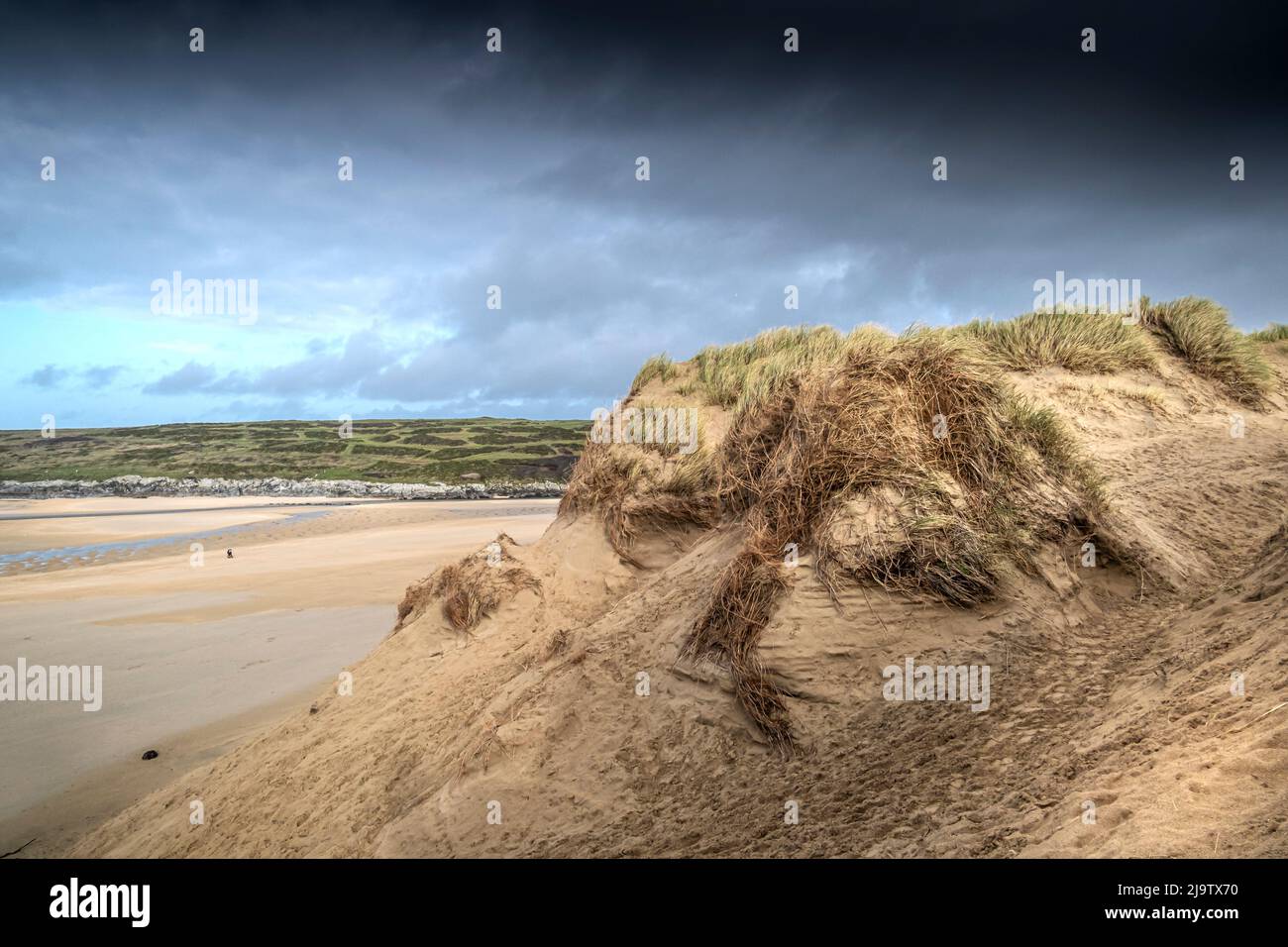 Gravi danni causati dall'attività umana al fragile sistema di dune di sabbia a Crantock Beach a Newquay in Cornovaglia. Foto Stock