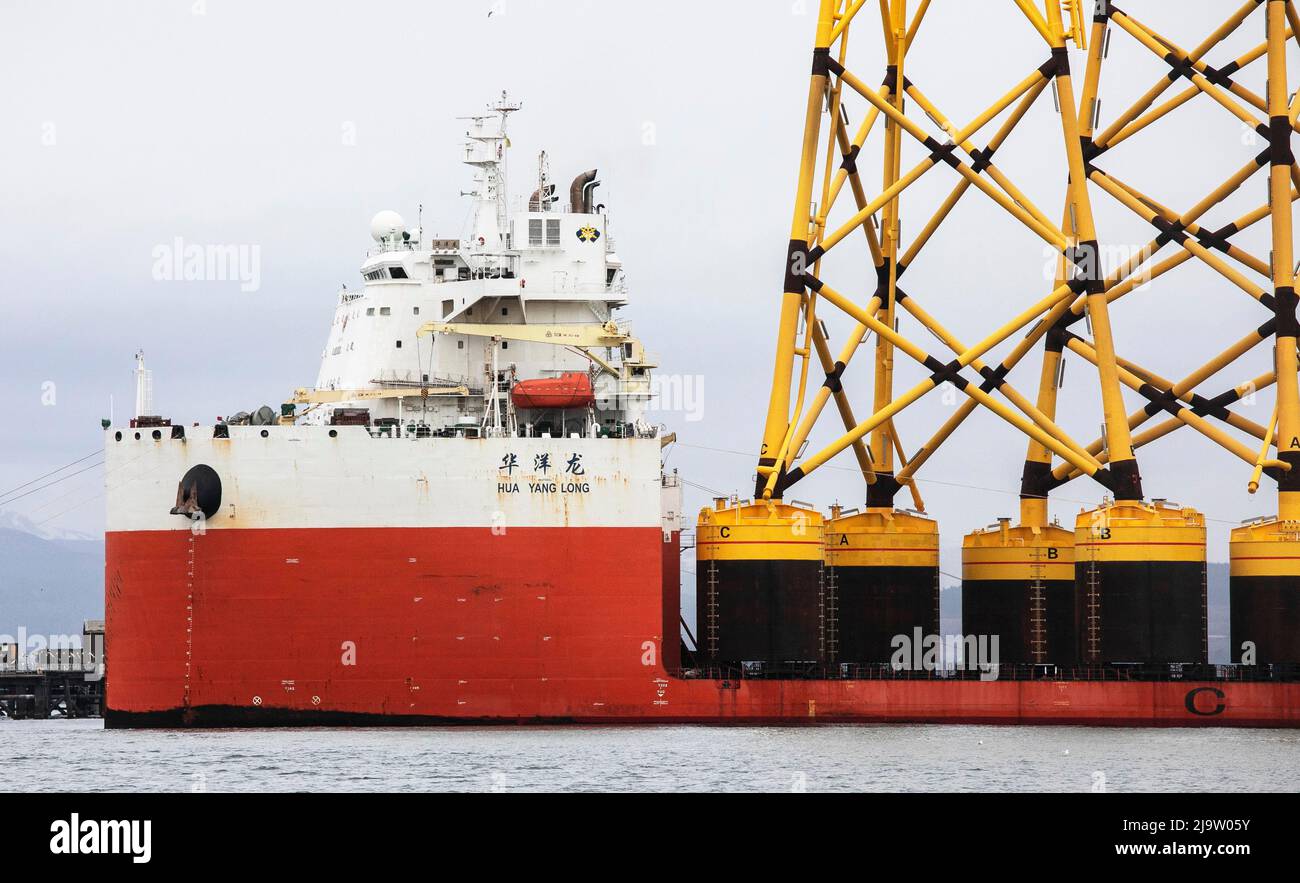 PETROLIO CRISIS.Oil rigs Cromarty Firth, essendo rimessa in servizio più vento trubine gambe dalla Cina . Foto Stock