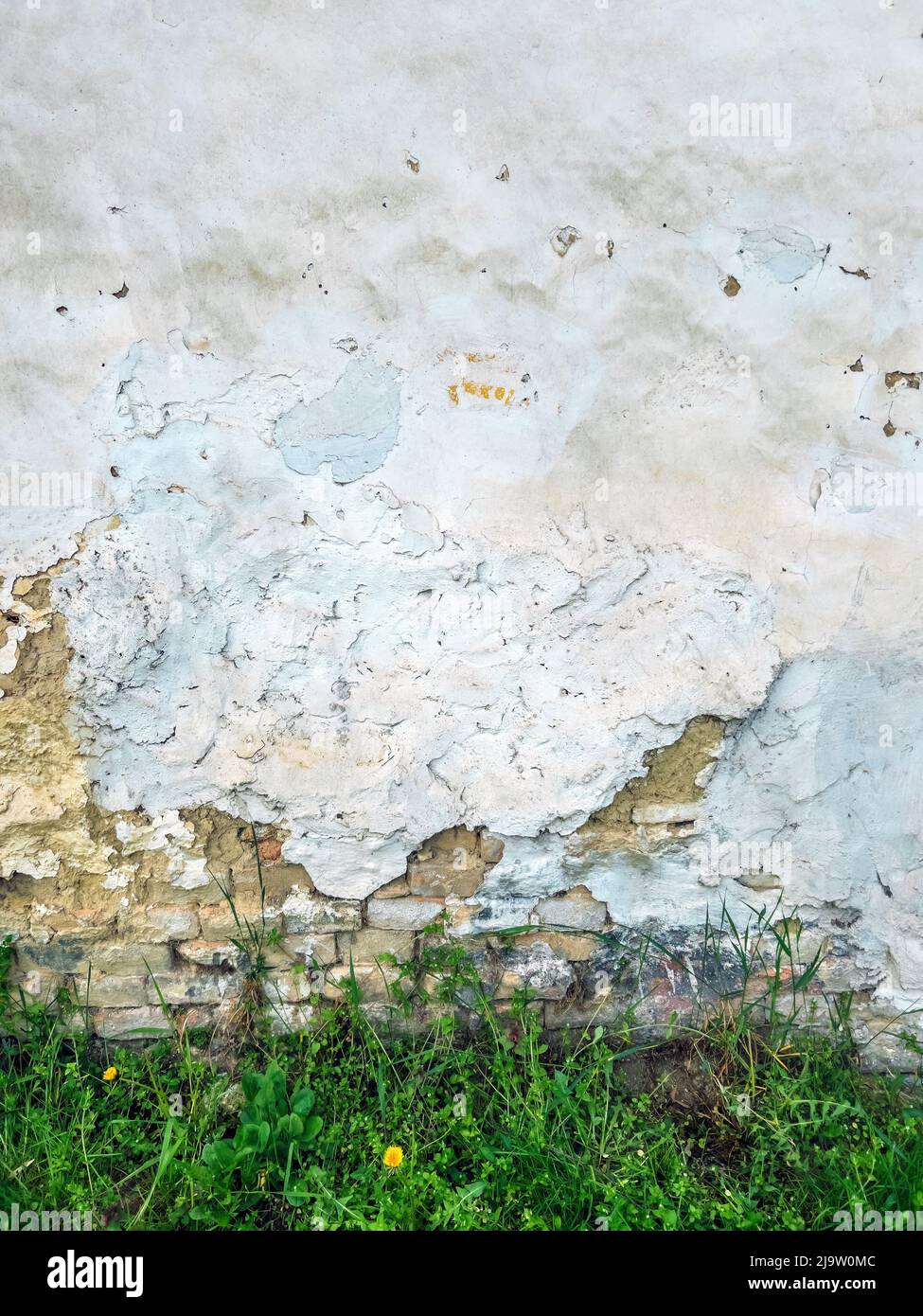 Vecchio muro di fango con erba come sfondo Foto Stock