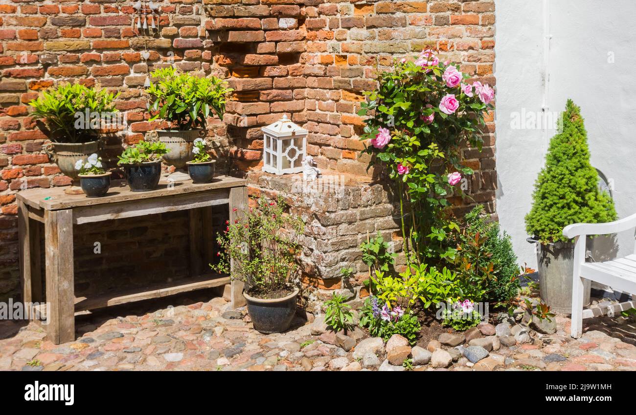 Fiori e piante di fronte a un vecchio muro di mattoni a Harderwijk, Paesi Bassi Foto Stock