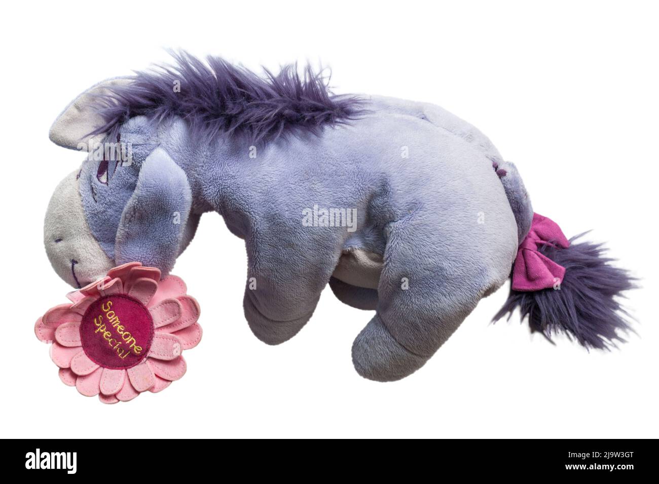 Eeyore morbido peluche giocattolo da Winnie the Pooh tenendo qualcuno fiore speciale isolato su sfondo bianco Foto Stock