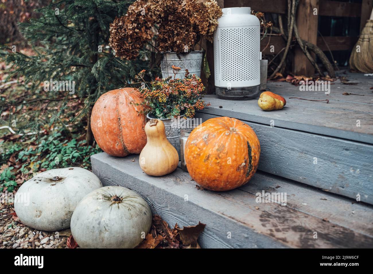 Decorazione autunnale, decorazione di portico per festa di Halloween, vacanza. Vecchie zucche arancioni, bouquet di foglie di acero in metallo vaso.Home, outdoort, strada d Foto Stock