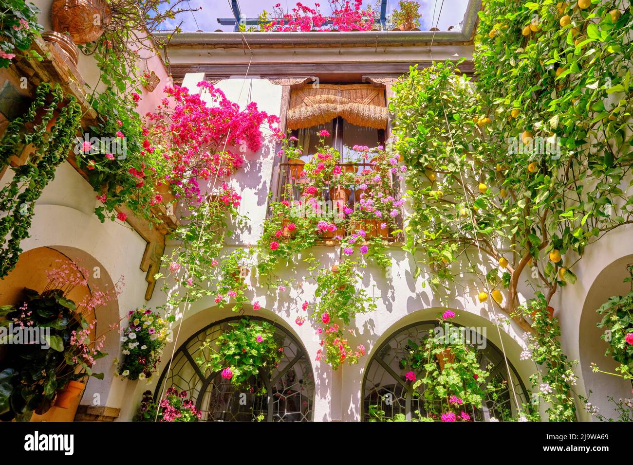 Un patio tradizionale di Cordoba, un cortile pieno di fiori e freschezza. Patrimonio culturale immateriale dell'umanità dell'UNESCO. Andalucia, Spagna Foto Stock