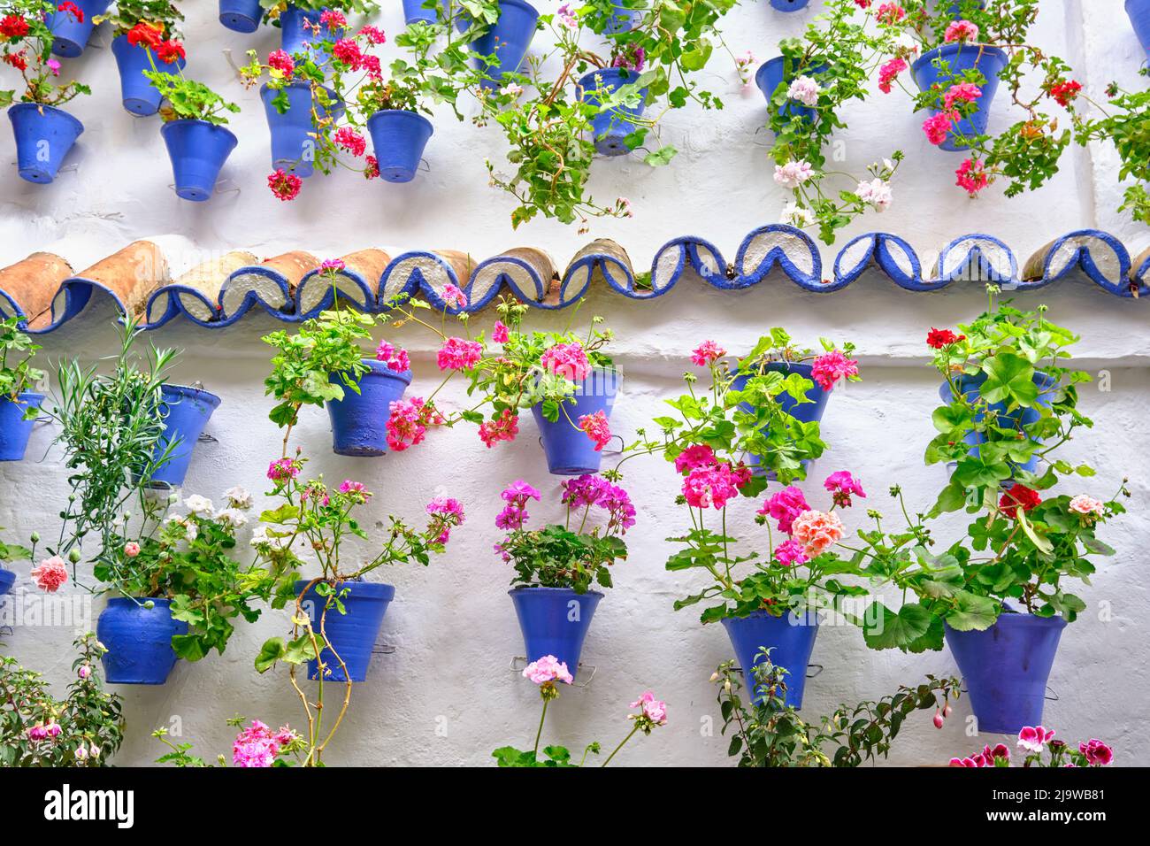 Un dettaglio di un patio tradizionale di Cordoba, un cortile pieno di fiori e freschezza. Patrimonio culturale immateriale dell'umanità dell'UNESCO. Andalucia, S. Foto Stock