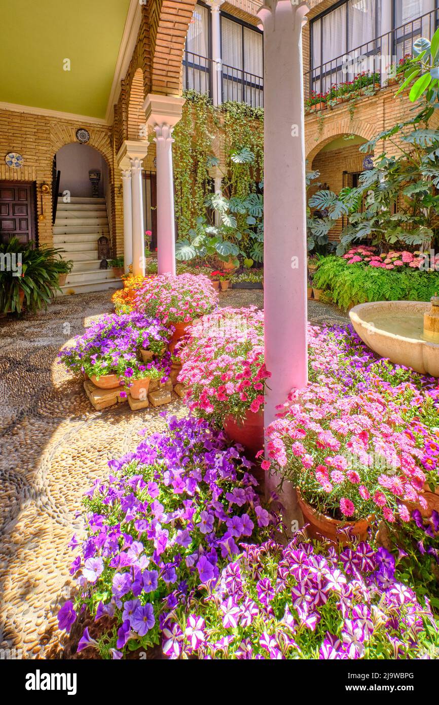 Dettaglio di un patio tradizionale di Cordoba, un cortile pieno di fiori e freschezza. Patrimonio culturale immateriale dell'umanità dell'UNESCO. Spagna Foto Stock