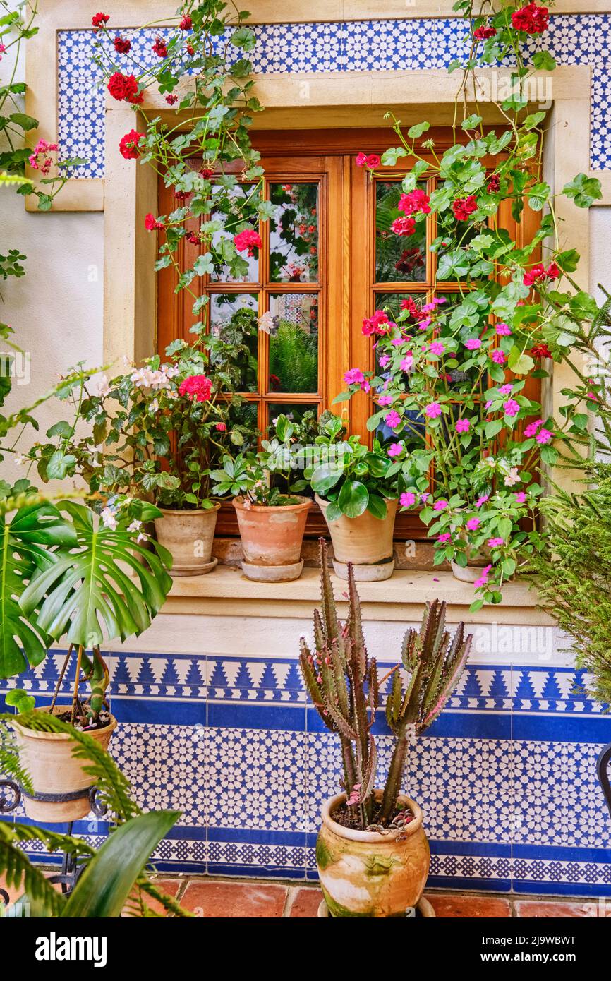 Dettaglio di un patio tradizionale di Cordoba, un cortile pieno di fiori e freschezza. Patrimonio culturale immateriale dell'umanità dell'UNESCO. Spagna Foto Stock