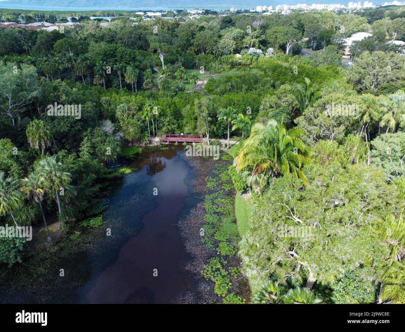 Vista aerea dei giardini botanici di Cairns Foto Stock