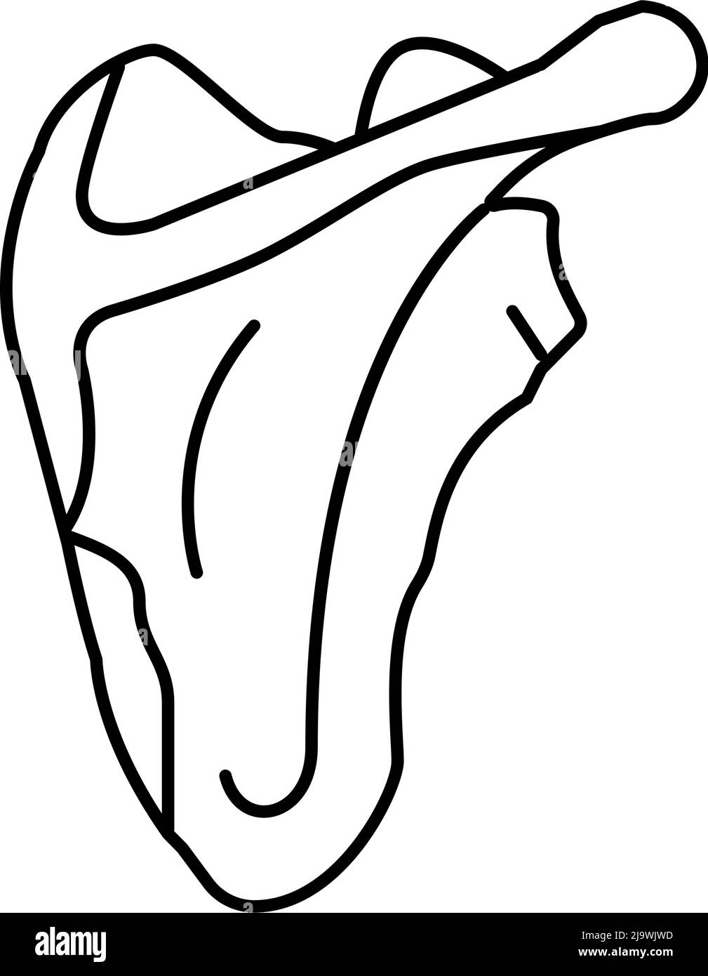 immagine vettoriale dell'icona della linea ossea della scapola Illustrazione Vettoriale