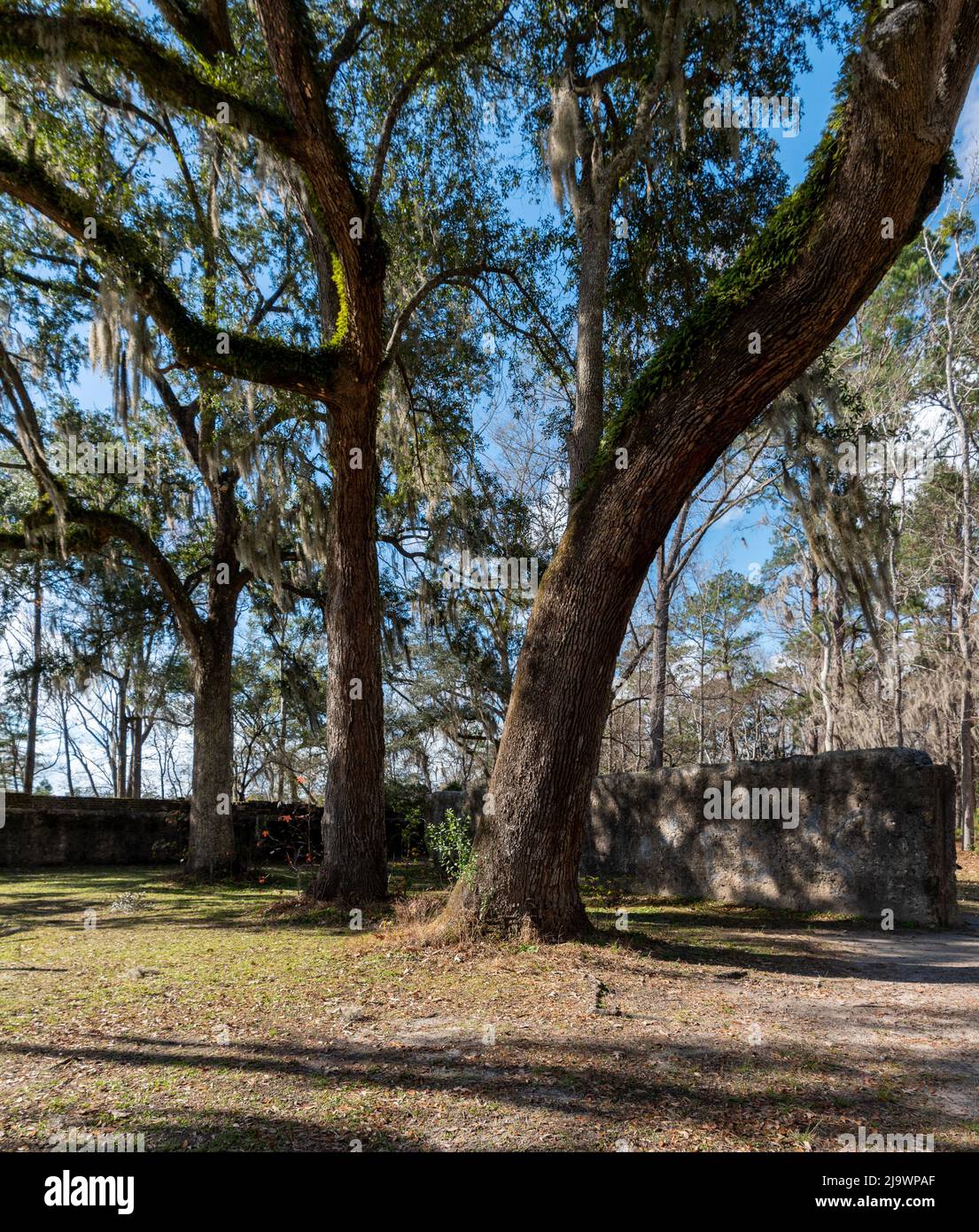 Fort Dorchester la fortificazione di tabby meglio conservata nel paese e si trova a Summerville, SC Foto Stock