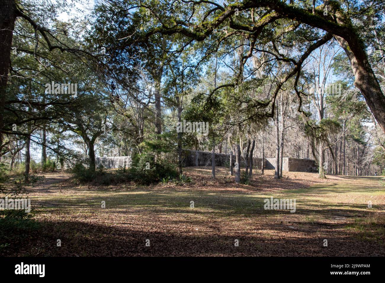 Fort Dorchester la fortificazione di tabby meglio conservata nel paese e si trova a Summerville, SC Foto Stock