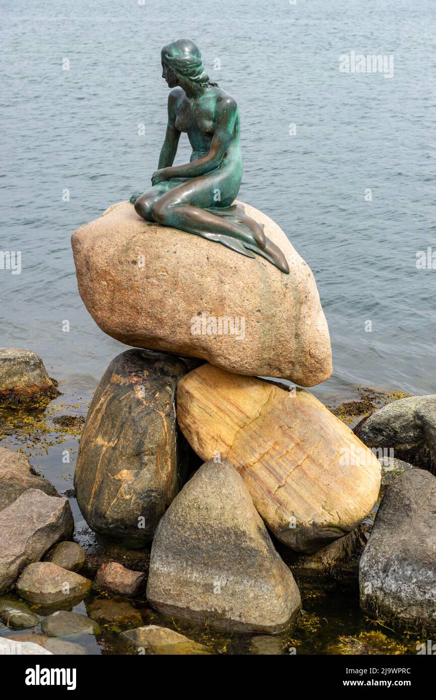 Den lille Havfrue, la statua della Sirenetta, Copenhagen, Danimarca Foto Stock