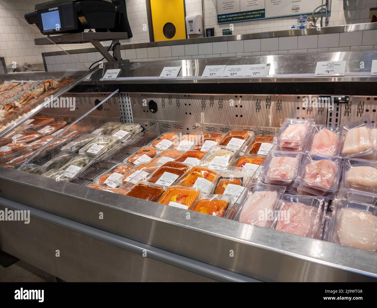 Kirkland, WA USA - circa Settembre 2021: Vista ad angolo di una selezione di pesce in vendita all'interno del reparto frutti di mare in un intero mercato di cibi. Foto Stock Kirkland, WA USA - circa Settembre 2021: Vista ad angolo di una selezione di pesce in vendita all'interno del reparto frutti di mare in un intero mercato di cibi. Foto Stock